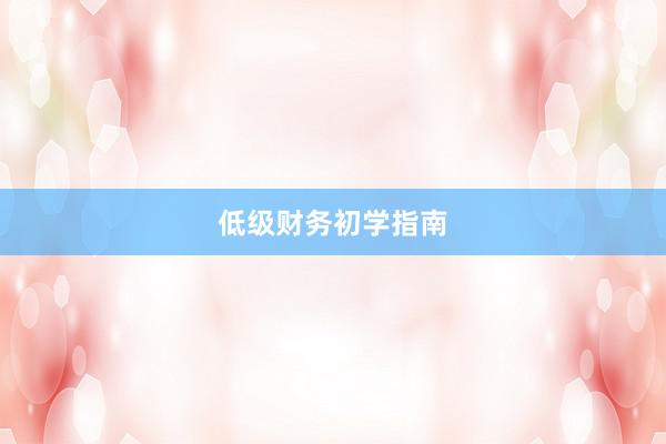 低级财务初学指南